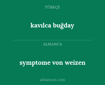 symptome von weizen - kavılca buğday