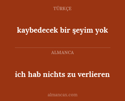 ich hab nichts zu verlieren - kaybedecek bir şeyim yok