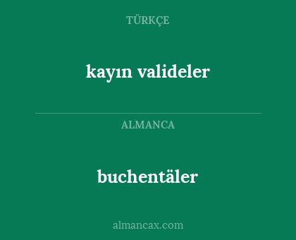 buchentäler - kayın valideler