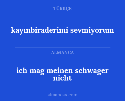 ich mag meinen schwager nicht - kayınbiraderimi sevmiyorum