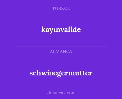 schwi̇egermutter - kayınvalide