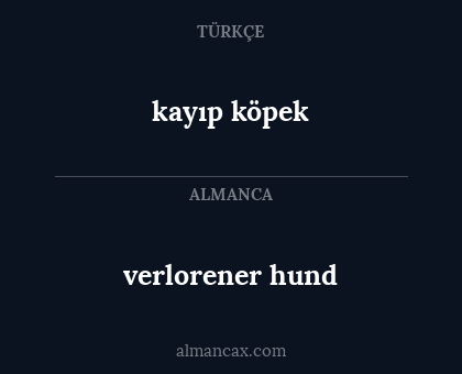 verlorener hund - kayıp köpek