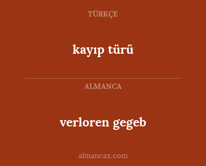 verloren gegeb - kayıp türü