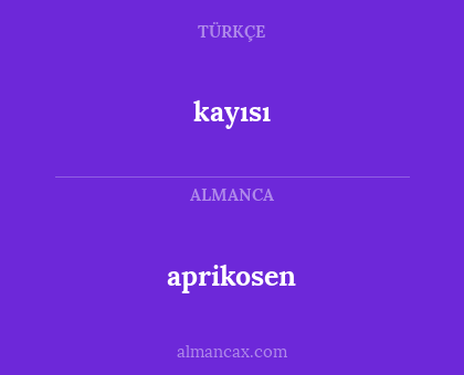 kayısı - aprikosen