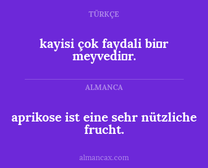 kayisi çok faydali bi̇r meyvedi̇r. - aprikose ist eine sehr nützliche frucht.