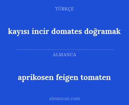 aprikosen feigen tomaten - kayısı incir domates doğramak