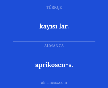 aprikosen-s. - kayısı lar.