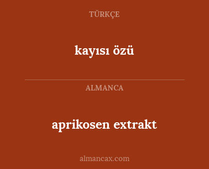 kayısı özü - aprikosen extrakt