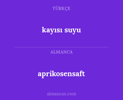 aprikosensaft - kayısı suyu