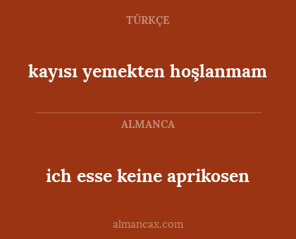 ich esse keine aprikosen - kayısı yemekten hoşlanmam