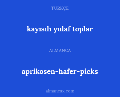 aprikosen-hafer-picks - kayısılı yulaf toplar