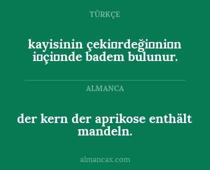 kayisinin çeki̇rdeği̇ni̇n i̇çi̇nde badem bulunur. - der kern der aprikose enthält mandeln.