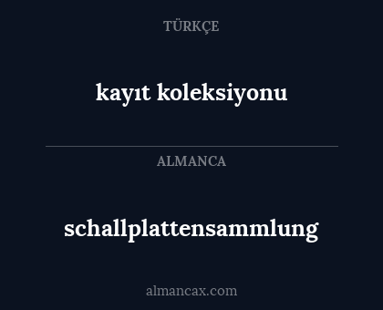 schallplattensammlung - kayıt koleksiyonu