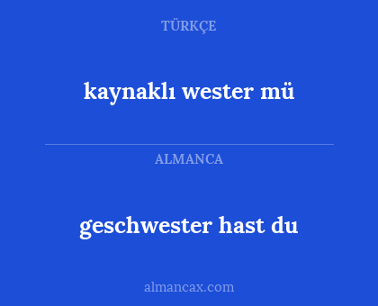 kaynaklı wester mü - geschwester hast du