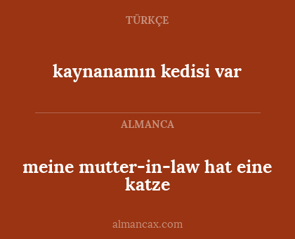 meine mutter-in-law hat eine katze - kaynanamın kedisi var