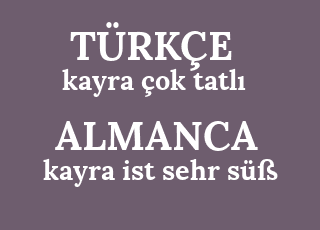 картинки улицы вечером. Ist sehr. задания по немецкому языку die tiere. стихи на немецком про весну. Ist sehr.