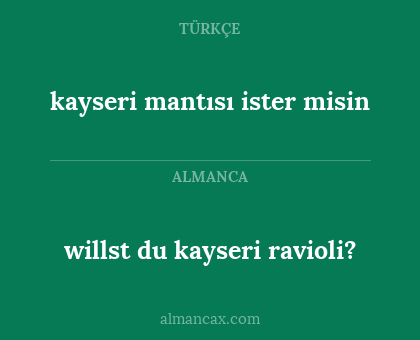 willst du kayseri ravioli? - kayseri mantısı ister misin
