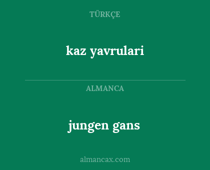 jungen gans - kaz yavrulari