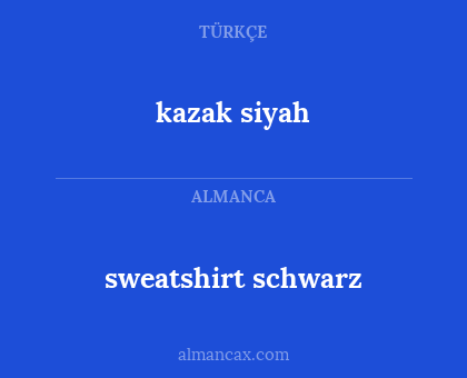 sweatshirt schwarz - kazak siyah