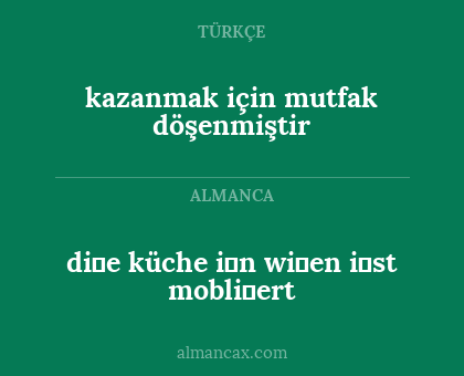 kazanmak için mutfak döşenmiştir - di̇e küche i̇n wi̇en i̇st mobli̇ert