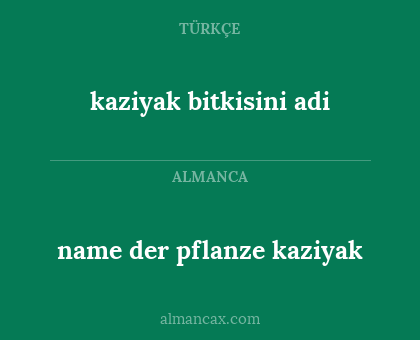 name der pflanze kaziyak - kaziyak bitkisini adi