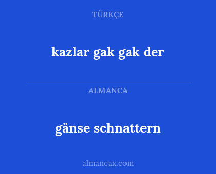 gänse schnattern - kazlar gak gak der