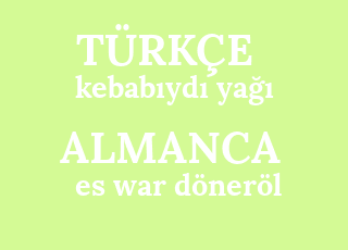 kebab%C4%B1yd%C4%B1+ya%C4%9F%C4%B1-es+war+d%C3%B6ner%C3%B6l.png