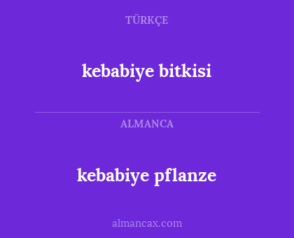 kebabiye pflanze - kebabiye bitkisi