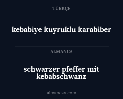 kebabiye kuyruklu karabiber - schwarzer pfeffer mit kebabschwanz