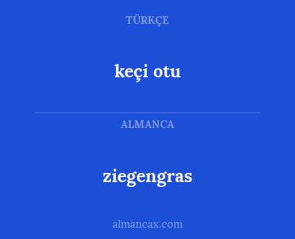 ziegengras - keçi otu