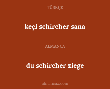 du schircher ziege - keçi schircher sana