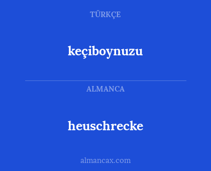 heuschrecke - keçiboynuzu