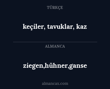 keçiler, tavuklar, kaz - ziegen,hühner,ganse