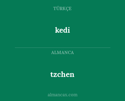 kedi - tzchen