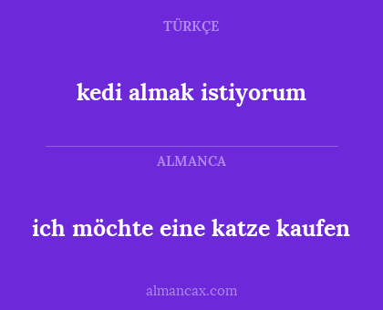 kedi almak istiyorum - ich möchte eine katze kaufen