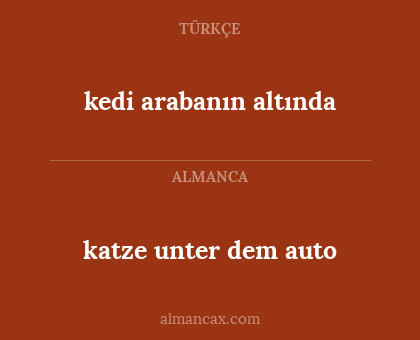 katze unter dem auto - kedi arabanın altında