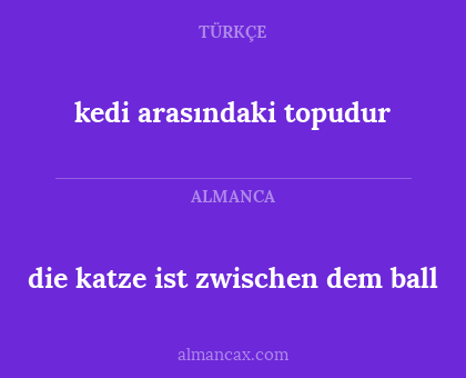 die katze ist zwischen dem ball - kedi arasındaki topudur