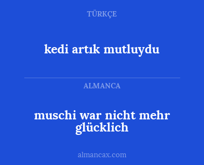 kedi artık mutluydu - muschi war nicht mehr glücklich