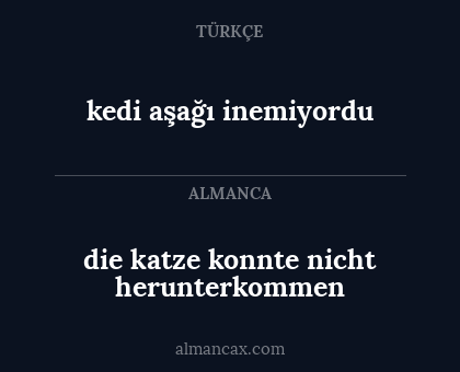 kedi aşağı inemiyordu - die katze konnte nicht herunterkommen