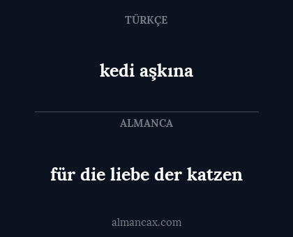 kedi aşkına - für die liebe der katzen