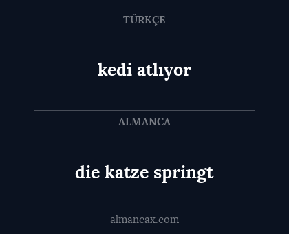 die katze springt - kedi atlıyor