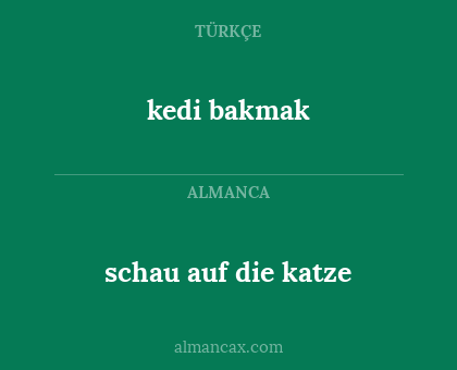 schau auf die katze - kedi bakmak