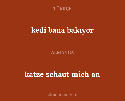 kedi bana bakıyor - katze schaut mich an