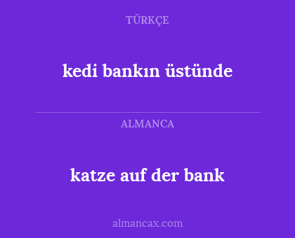 kedi bankın üstünde - katze auf der bank