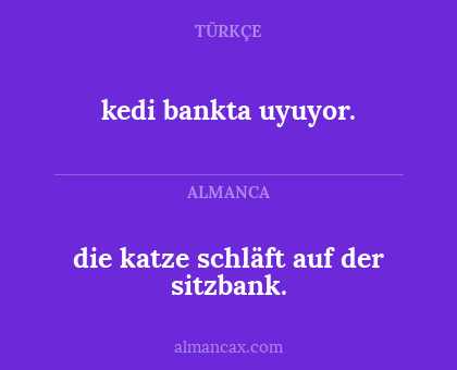 die katze schläft auf der sitzbank. - kedi bankta uyuyor.