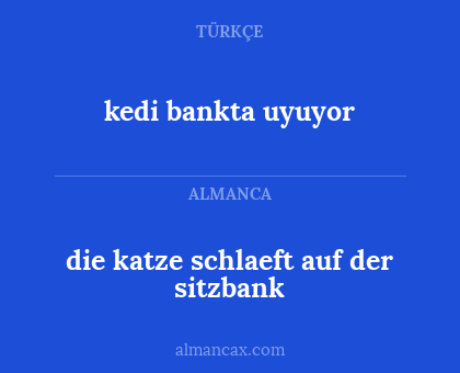 die katze schlaeft auf der sitzbank - kedi bankta uyuyor