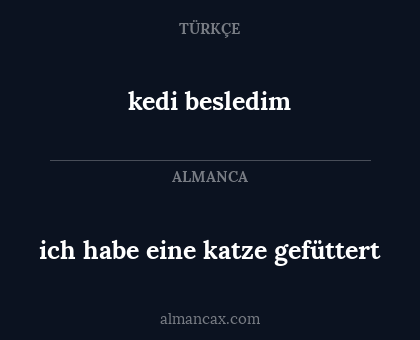 ich habe eine katze gefüttert - kedi besledim