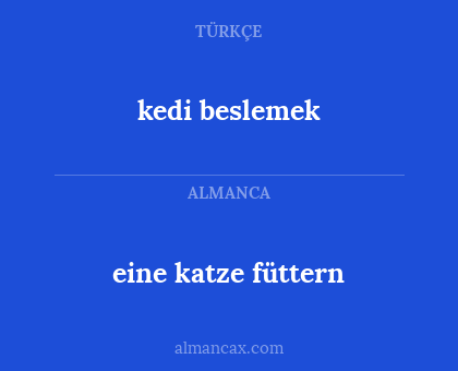 kedi beslemek - eine katze füttern