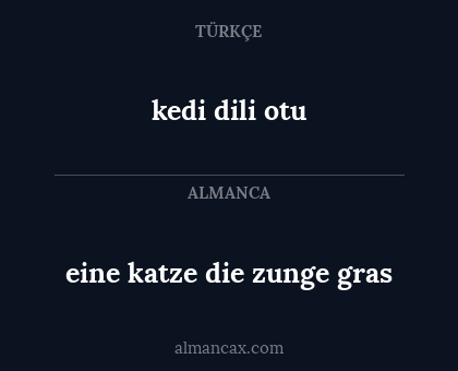kedi dili otu - eine katze die zunge gras