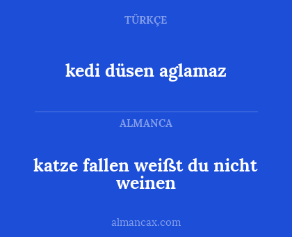 kedi düsen aglamaz - katze fallen weißt du nicht weinen